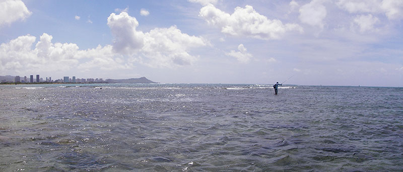 032209hawaiiflats