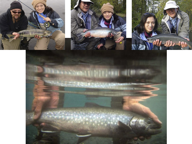 092008alaska03