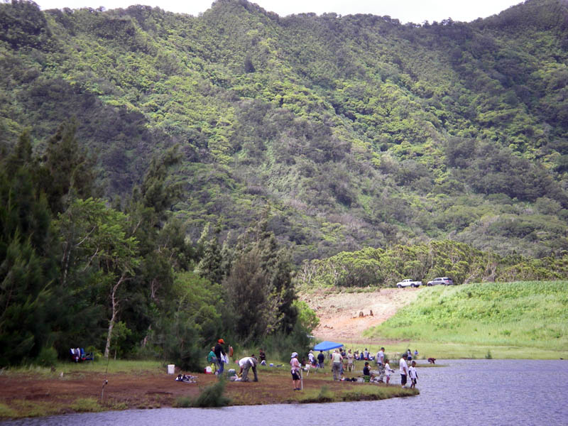nuuanu003