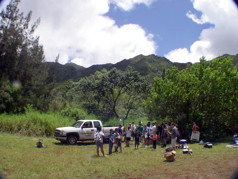 nuuanu008