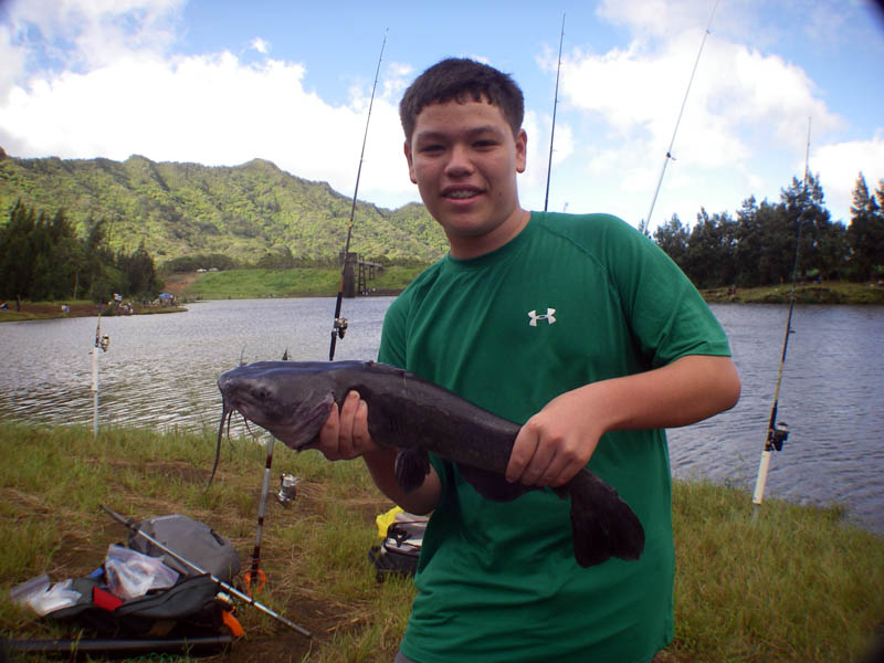 nuuanu05