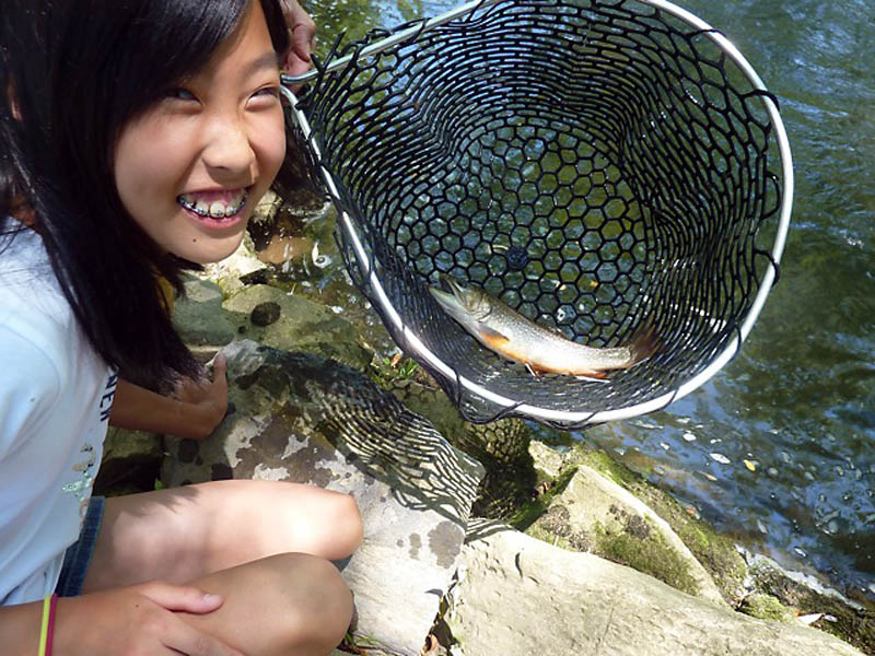 070410pettingzoo005
