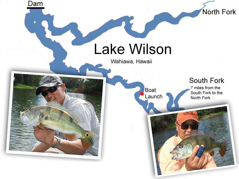 LakeWilson2011