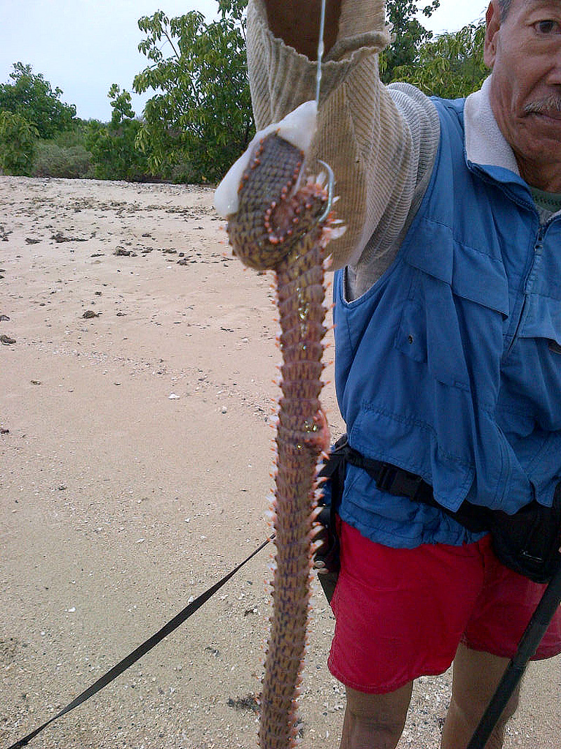 IMG-20121224-00060